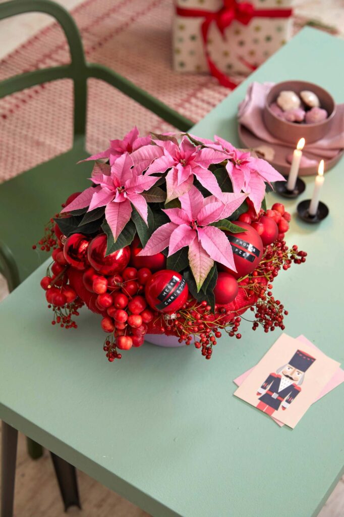 Коледна звезда